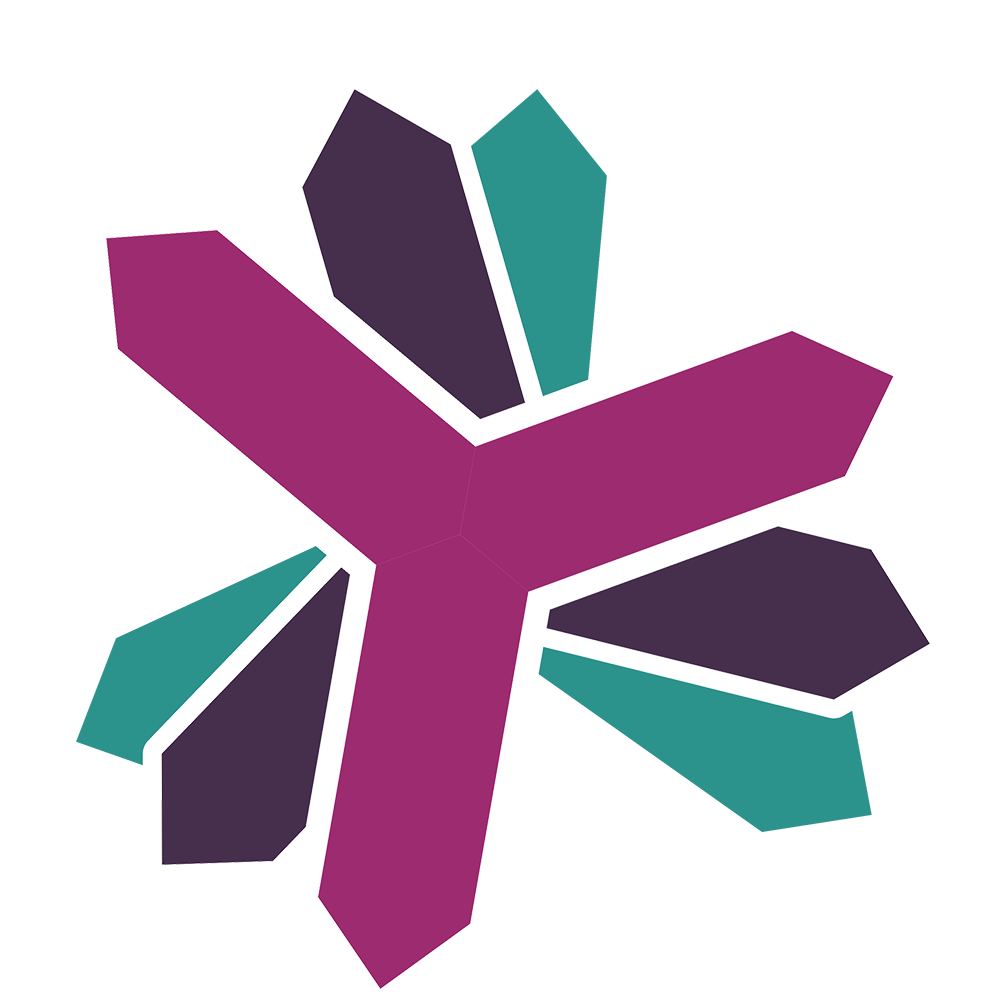 logo SwissSolarwindExplorer