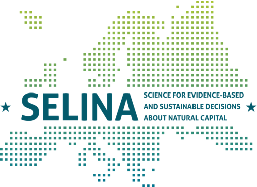 SELINA logo